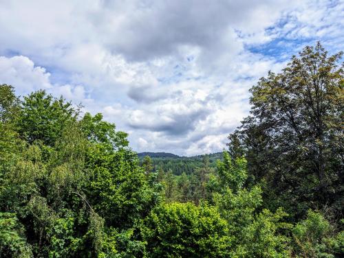 Příroda nedaleko apartmánu