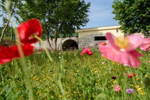 a field of flowers in front of a building at Casa Ponte da Vessada in Celorico de Basto