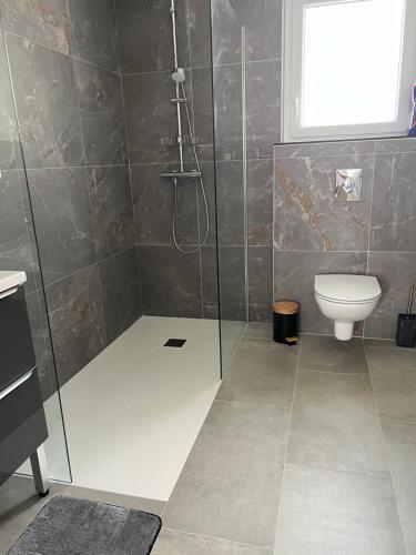 a bathroom with a shower and a toilet at Le Charles Pierre in La Ferté-Saint-Aubin