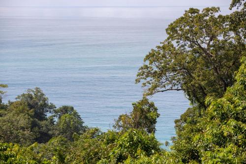 a view of the ocean through the trees at El Remanso Rainforest Lodge in Puerto Jiménez
