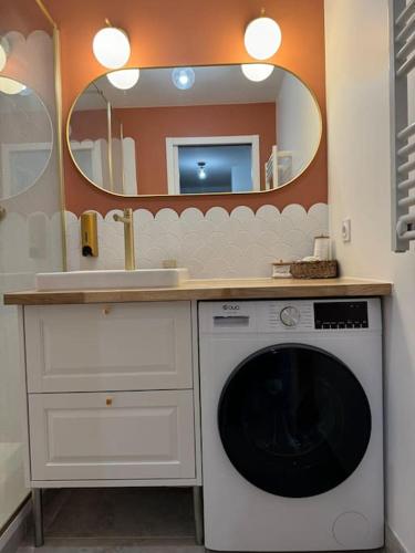 - un lave-linge dans la salle de bains pourvue d'un miroir dans l'établissement Le Repaire Elégant, à Saint-Denis