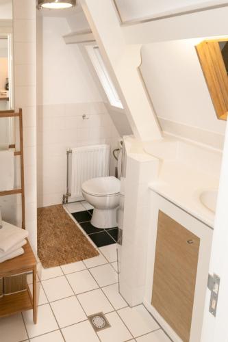 a bathroom with a toilet and a sink at Casa Del Cisne in Zandvoort