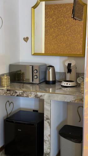 une cuisine avec un comptoir avec un micro-ondes dans l'établissement Le Palais du Khalif, à Fabrègues