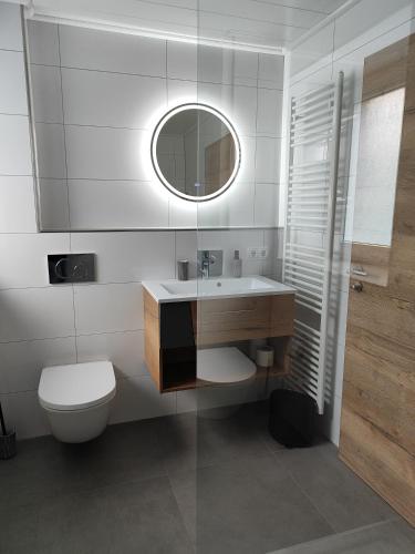 a bathroom with a sink and a toilet and a mirror at Apartment Marissa in Billerbeck