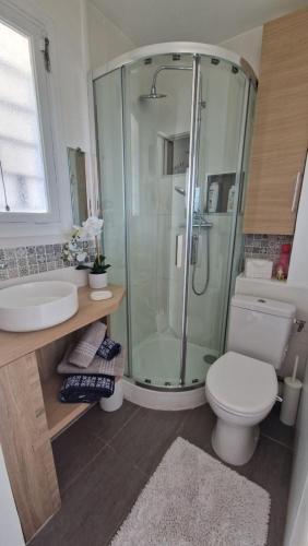 une salle de bain avec une douche, des toilettes et un lavabo dans l'établissement Charmant petit studio à 100 m de la mer, à Cagnes-sur-Mer