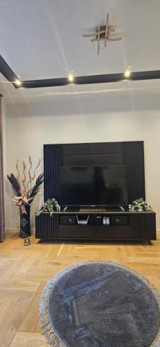Apartment M TV 또는 엔터테인먼트 센터