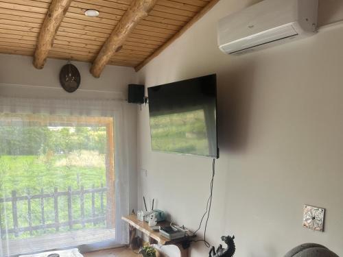 a living room with a television and a window at 1 bed - Sleeps 4 - Pets - Balcony - Mtn View in Coja
