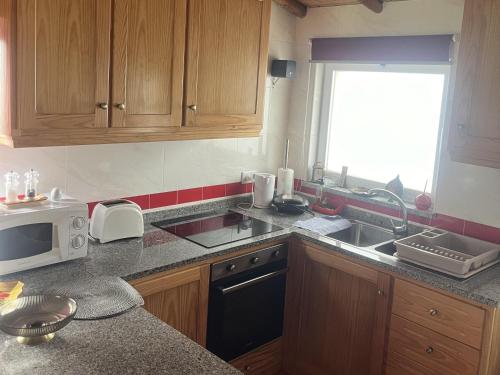 a kitchen with a sink and a microwave at 1 bed - Sleeps 4 - Pets - Balcony - Mtn View in Coja