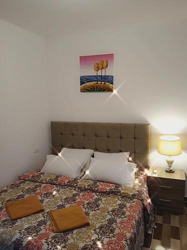 a bedroom with a bed with two pillows on it at Petra Planet in Wadi Musa