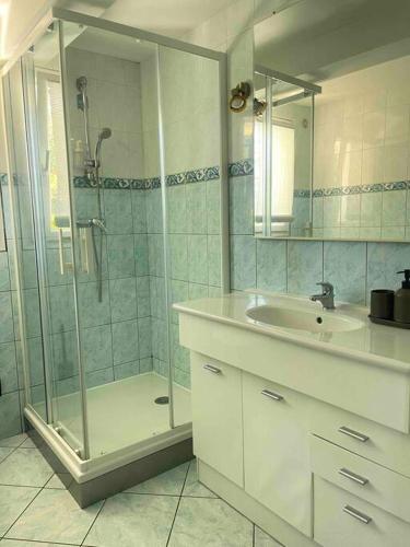a bathroom with a shower and a sink at Le Priest - Calme, hopital nord, fac de médecine in Saint-Priest-en-Jarez
