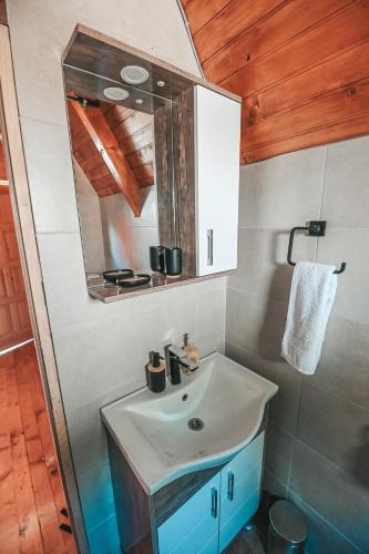 a bathroom with a sink and a mirror at Domaćinstvo braća Rebić in Gacko