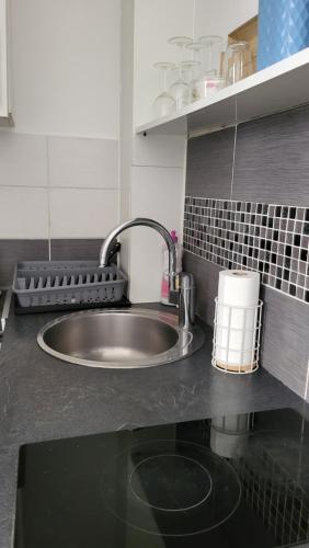 un comptoir de cuisine avec un évier et un évier dans l'établissement Apparemment parisien, à Paris