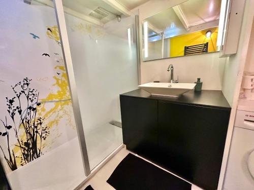 a bathroom with a sink and a shower at Le Loft Rouen Centre in Rouen