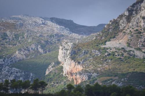 a view of a mountain with trees on it at Ferma Jebala Ecolodge in Kitane