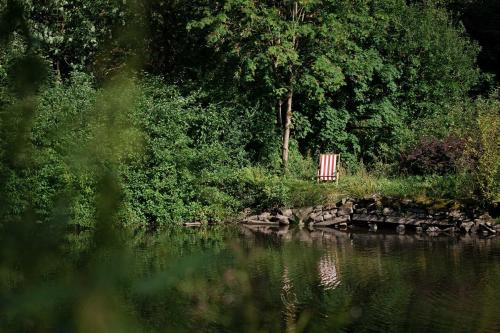 a bench sitting on the bank of a body of water at Tiny House Nature 13 - Green Tiny Village Harz in Osterode