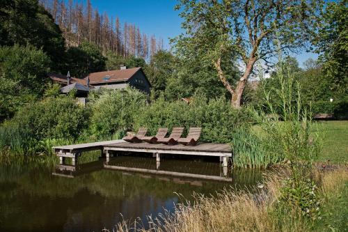 two benches sitting on a bridge over a pond at Tiny House Nature 14 - Green Tiny Village Harz in Osterode