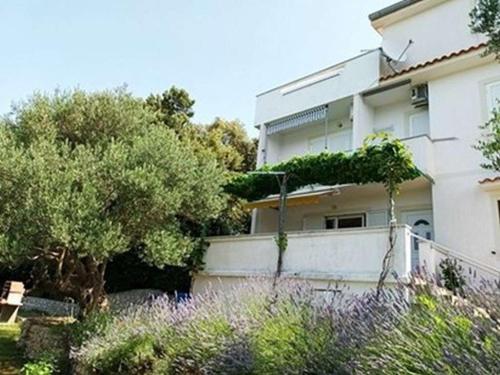 Apartments with parking space Supetarska Draga - Gonar, Rab - 23349