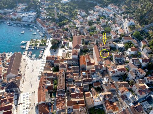Baby Blue - ZF Hvar
