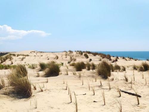 une plage de sable avec gazon et océan en arrière-plan dans l'établissement Superbe villa 4 pièces avec jardin à 1500m de la plage, 800m des commerces - La Palmyre - FR-1-705-30, à La Palmyre