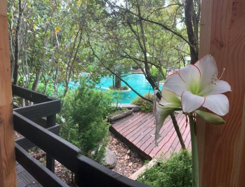 a flower on the side of a balcony with a pool at Cabañas Natural Park Lodge Pucón in Pucón