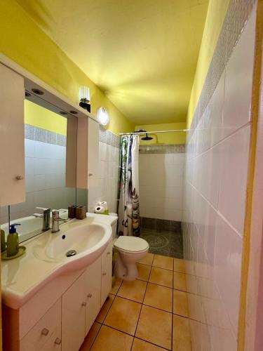 a bathroom with a sink and a toilet at Mango Sea -Villa "Maracudja" et appartement "Jojoba" avec piscine & vue sur les îles in Saint-François