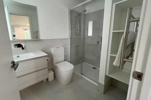 a bathroom with a shower and a toilet and a sink at TOP DECK - Panoramic water views of the Bay of Fires in Binalong Bay