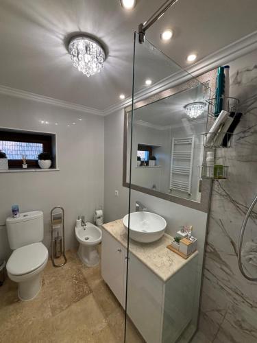 Phòng tắm tại Casa de vacanță Ovidiu