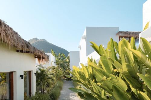 a path between two buildings with green plants at Amber Lombok Beach Resort in Selong Belanak