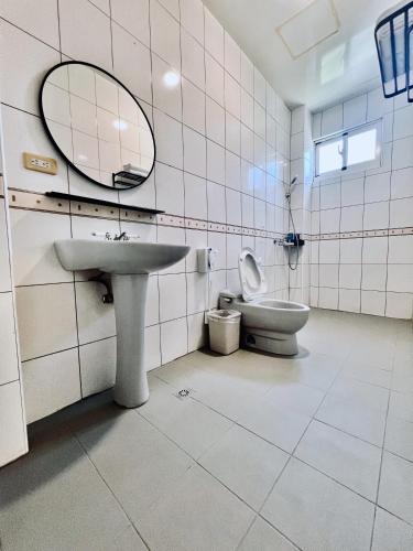 a bathroom with a toilet and a sink and a mirror at sea monkey diving homestay in Green Island
