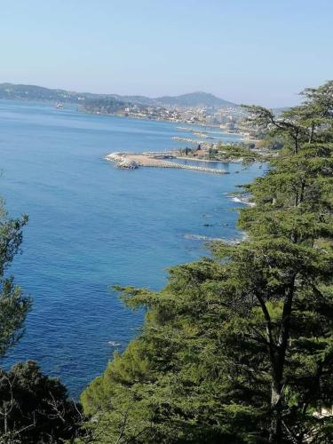 Ideal studio à 50 m des plages du mourillon