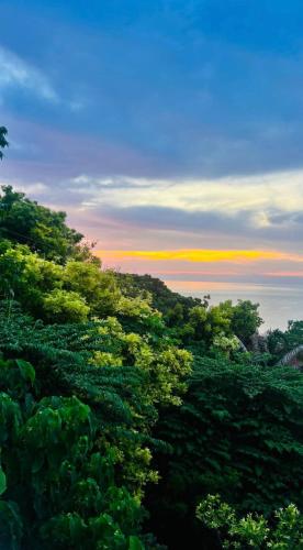 a view of a field of trees with the sunset at Bethany's Point in Oslob