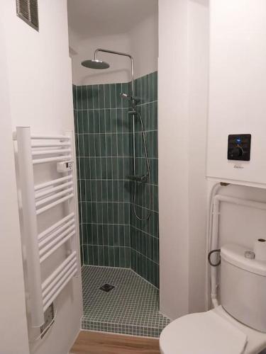 La salle de bains est pourvue d'une douche, de toilettes et de carrelage vert. dans l'établissement Joli 2 pièces tendance 5 mns de la plage, à Torcy