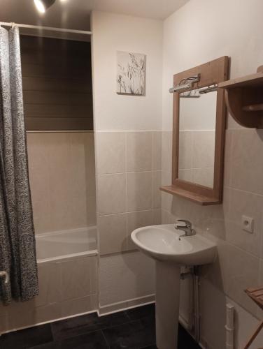 une salle de bain avec un lavabo et une douche dans l'établissement Studio Villar d'Arene Résidence la Meije Blanche, à Villar-dʼArêne