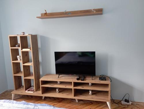 TV a/nebo společenská místnost v ubytování Apartman Miki Jovanović