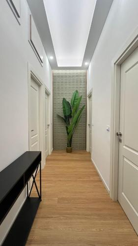 a hallway with a table and a potted plant at La Pennichella Vista Veneto in Agropoli
