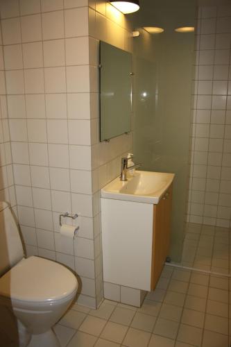 a bathroom with a toilet and a sink and a mirror at Løgumkloster Refugium in Løgumkloster