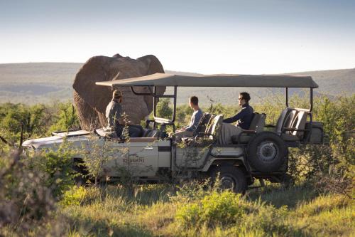 Hosté ubytování Rhulani Safari Lodge