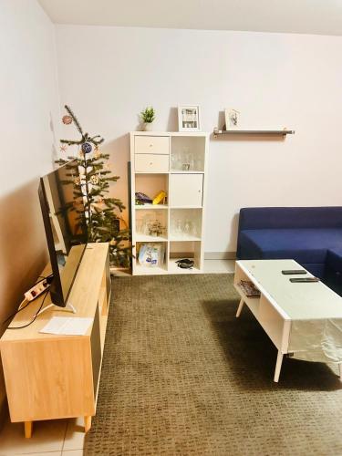 un salon avec un canapé bleu et une télévision dans l'établissement Chambre privé classe, à Villeurbanne