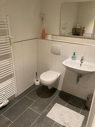 a bathroom with a toilet and a sink at SUITE-DREAMS APARTMENT - Innenstadt in Hannover