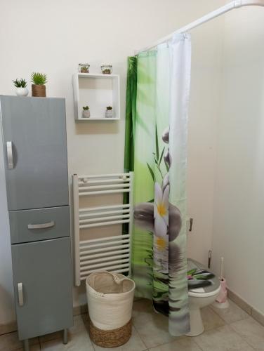 a bathroom with a shower curtain and a toilet at Villa climatisée 4-6 pers avec piscine, terrasse & jardin - 2 min plage in Cervione