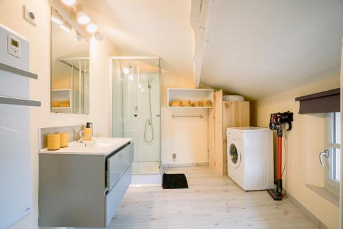 une salle de bain avec un lavabo et une machine à laver dans l'établissement Centre historique et bord du tarn - clim - unique, à Albi
