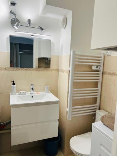 une salle de bain avec un lavabo, des toilettes et un miroir dans l'établissement Studio Bord de lac avec terrasse classé 2 étoiles, à Aix-les-Bains