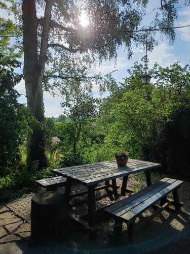a picnic table with a potted plant and two benches at Tuhaň dům na samotě u lesa in Tuhaň