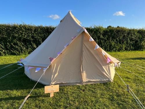 a tent sitting in the grass in a field at Rescorla Retreats - Blossom in St Austell