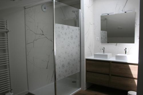 a bathroom with a shower and a sink at Les nuits d'ALDEARDE in Airvault
