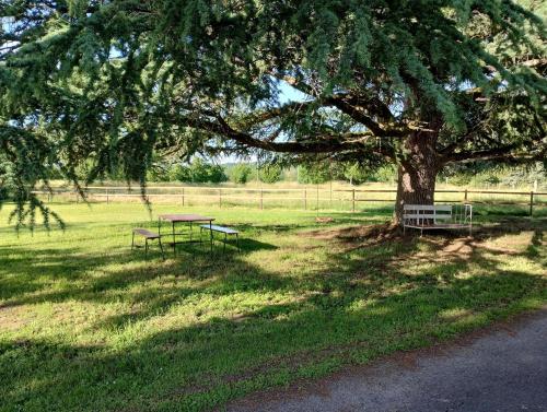 a picnic table under a tree in a field at La ferme du pigeonnier in Mirande