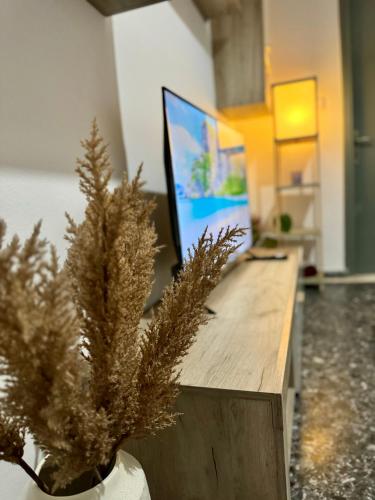 a desk with a computer in a room with plants at Molys House in Igoumenitsa