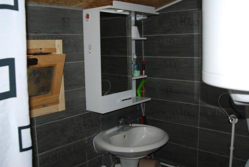 a bathroom with a sink and a mirror at Brvnare Dunja 1 i Dunja 2 in Kraljevo