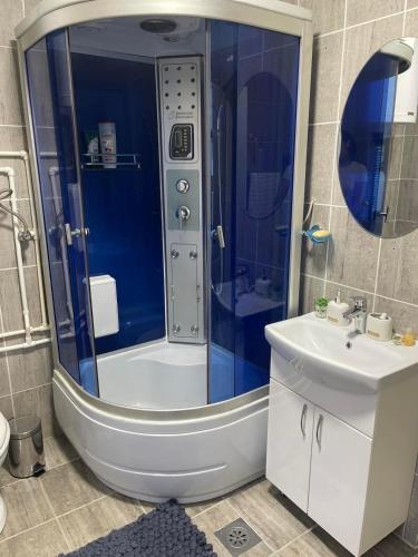 a bathroom with a shower and a toilet and a sink at Visitor Yard in Plav