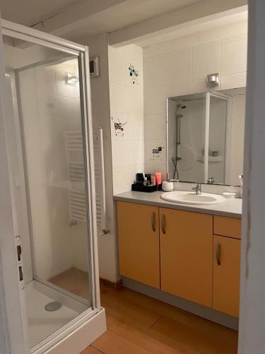 une salle de bain avec une douche, un lavabo et un miroir dans l'établissement Ferme rénovée 6 chambres, vue sur lac et piscine, à Castet-Arrouy